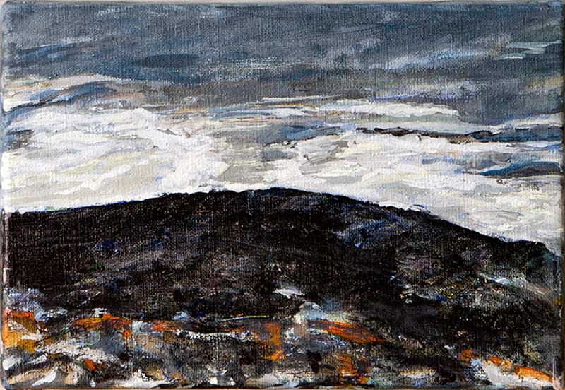 2014 - small oil painting on canvas - 35x24cm