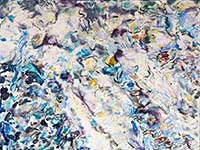 Paintings by Wim Drion.