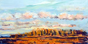 Paintings by Wim Drion.